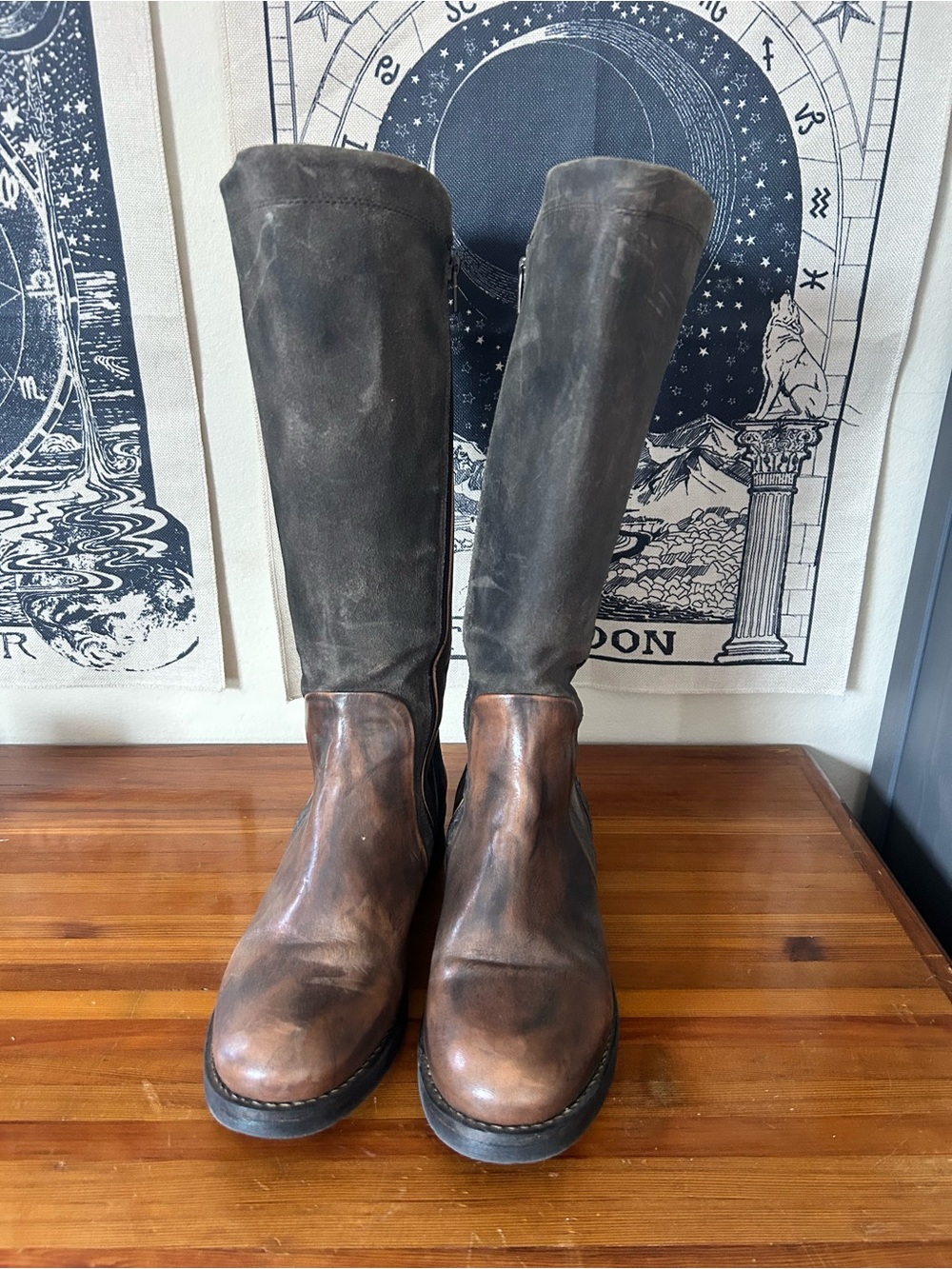 Casta Roma Taupe Tall Leather Riding Boots Distressed Moto Studded - Picture 4 of 9